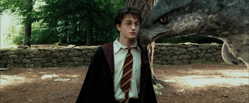 Click to view full size image
==============
PdA-Potterish_2461.jpg PdA-Potterish_2461.jpg