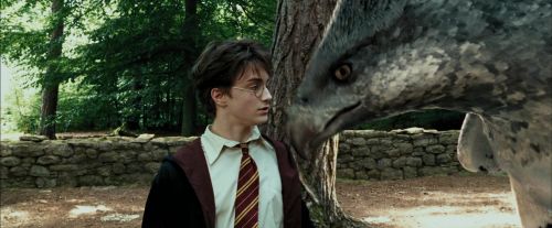 Click to view full size image
==============
PdA-Potterish_2463.jpg PdA-Potterish_2463.jpg