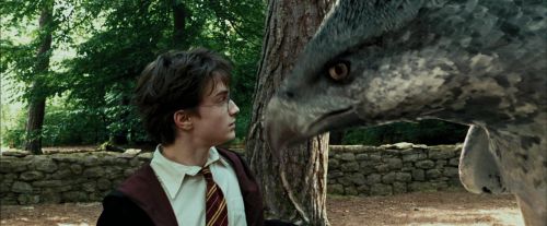 PdA-Potterish_2464.jpg