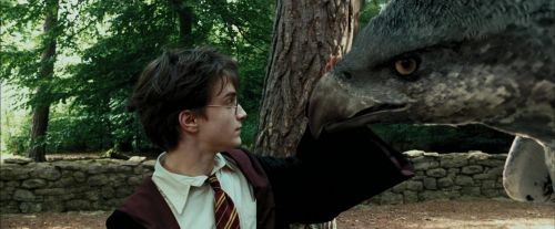 PdA-Potterish_2465.jpg