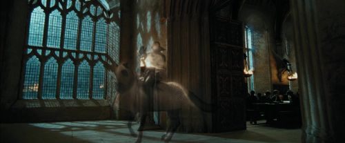 Click to view full size image
==============
PdA-Potterish_2473.jpg PdA-Potterish_2473.jpg