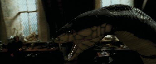 PdA-Potterish_2782.jpg