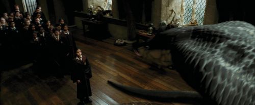 PdA-Potterish_2783.jpg