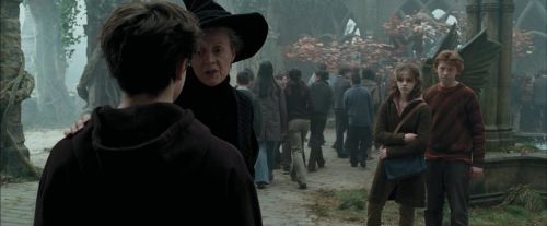 PdA-Potterish_2879.jpg