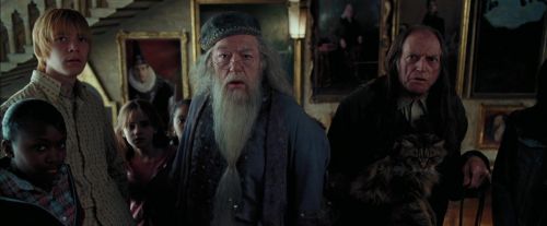 PdA-Potterish_3090.jpg