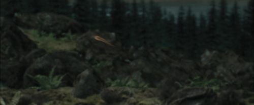 PdA-Potterish_3263.jpg