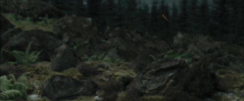 PdA-Potterish_3264.jpg