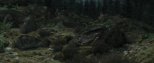 Click to view full size image
==============
PdA-Potterish_3265.jpg PdA-Potterish_3265.jpg