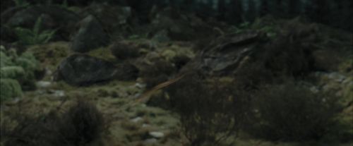 PdA-Potterish_3266.jpg
