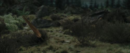 Click to view full size image
==============
PdA-Potterish_3267.jpg PdA-Potterish_3267.jpg