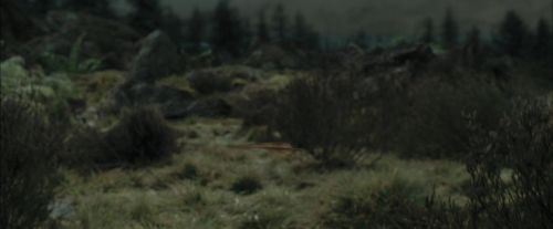 Click to view full size image
==============
PdA-Potterish_3268.jpg PdA-Potterish_3268.jpg