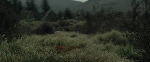 Click to view full size image
==============
PdA-Potterish_3270.jpg PdA-Potterish_3270.jpg
