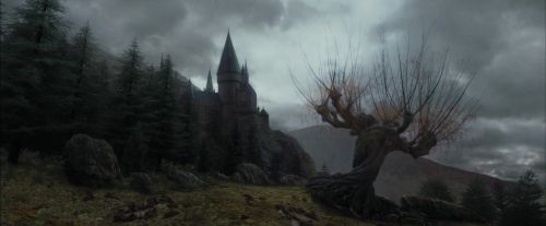 Click to view full size image
==============
PdA-Potterish_3272.jpg PdA-Potterish_3272.jpg