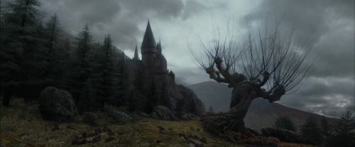 Click to view full size image
==============
PdA-Potterish_3273.jpg PdA-Potterish_3273.jpg