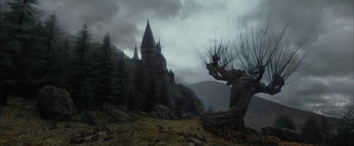 Click to view full size image
==============
PdA-Potterish_3274.jpg PdA-Potterish_3274.jpg