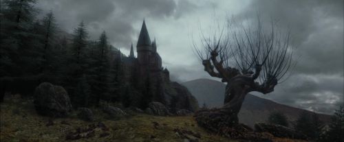 PdA-Potterish_3275.jpg