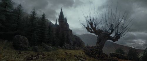 Click to view full size image
==============
PdA-Potterish_3277.jpg PdA-Potterish_3277.jpg