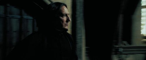 PdA-Potterish_3280.jpg