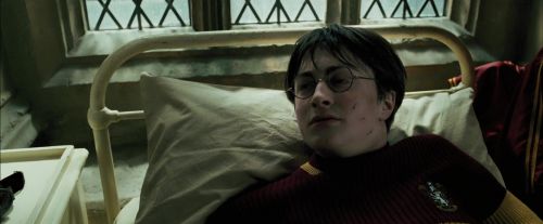 PdA-Potterish_3631.jpg