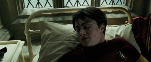 PdA-Potterish_3632.jpg