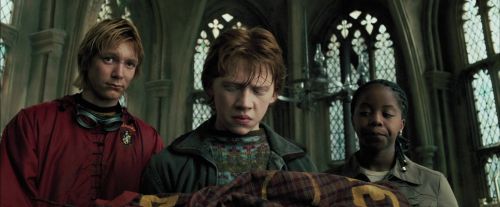 PdA-Potterish_3637.jpg