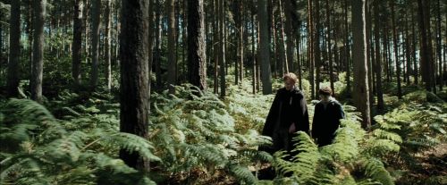 Click to view full size image
==============
PdA-Potterish_3652.jpg PdA-Potterish_3652.jpg