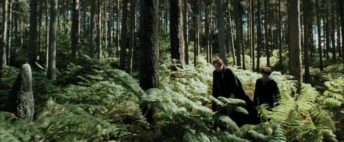 Click to view full size image
==============
PdA-Potterish_3653.jpg PdA-Potterish_3653.jpg