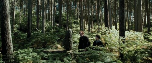 PdA-Potterish_3659.jpg
