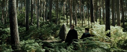 PdA-Potterish_3660.jpg