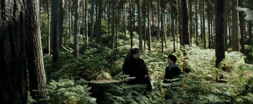 Click to view full size image
==============
PdA-Potterish_3661.jpg PdA-Potterish_3661.jpg