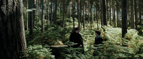 PdA-Potterish_3662.jpg