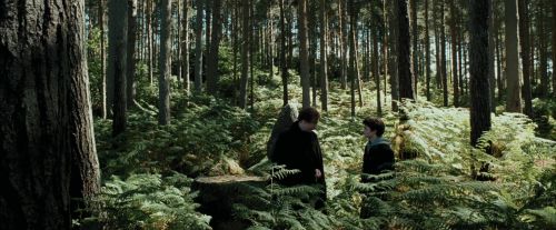 PdA-Potterish_3664.jpg
