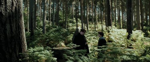 PdA-Potterish_3665.jpg