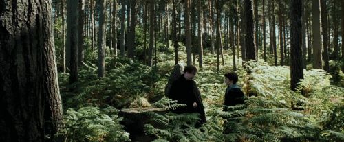 Click to view full size image
==============
PdA-Potterish_3666.jpg PdA-Potterish_3666.jpg