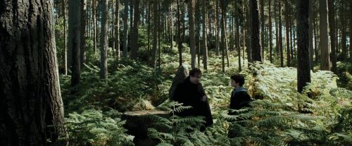 PdA-Potterish_3667.jpg