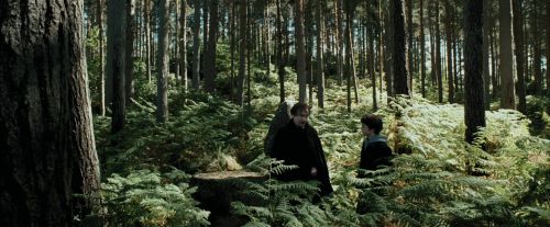 Click to view full size image
==============
PdA-Potterish_3668.jpg PdA-Potterish_3668.jpg