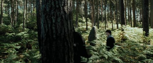 Click to view full size image
==============
PdA-Potterish_3671.jpg PdA-Potterish_3671.jpg