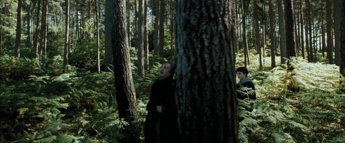 PdA-Potterish_3672.jpg