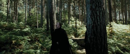 Click to view full size image
==============
PdA-Potterish_3673.jpg PdA-Potterish_3673.jpg