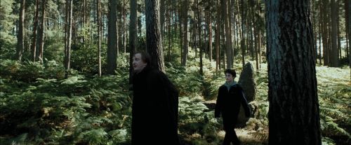 Click to view full size image
==============
PdA-Potterish_3674.jpg PdA-Potterish_3674.jpg
