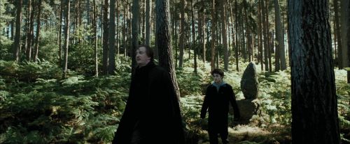 Click to view full size image
==============
PdA-Potterish_3675.jpg PdA-Potterish_3675.jpg