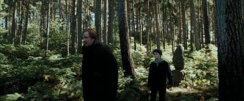 PdA-Potterish_3676.jpg