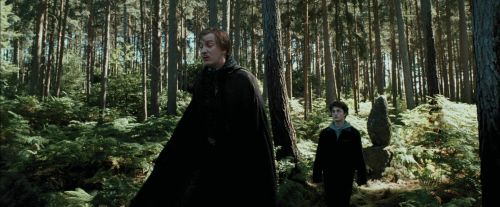 PdA-Potterish_3677.jpg