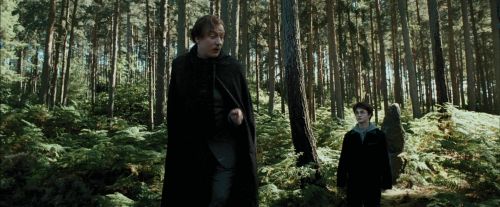 Click to view full size image
==============
PdA-Potterish_3678.jpg PdA-Potterish_3678.jpg