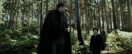 Click to view full size image
==============
PdA-Potterish_3679.jpg PdA-Potterish_3679.jpg