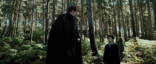 PdA-Potterish_3681.jpg