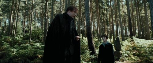 Click to view full size image
==============
PdA-Potterish_3682.jpg PdA-Potterish_3682.jpg