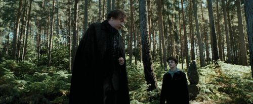 PdA-Potterish_3683.jpg