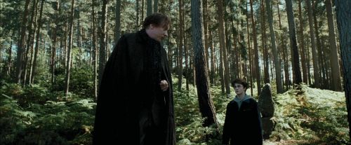 PdA-Potterish_3685.jpg
