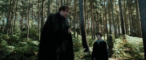 PdA-Potterish_3686.jpg